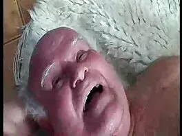 Միլֆը խաղում է կոշտ աքաղաղի հետ